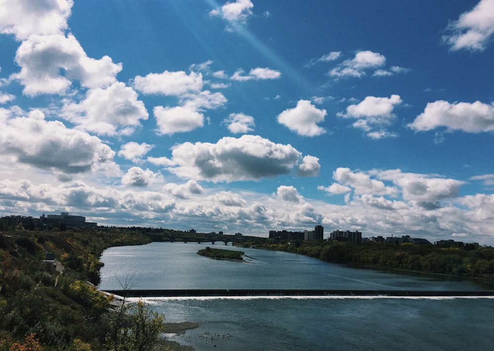 grüne Bäume in der Nähe von Gewässern unter blauem Himmel und weißen Wolken tagsüber