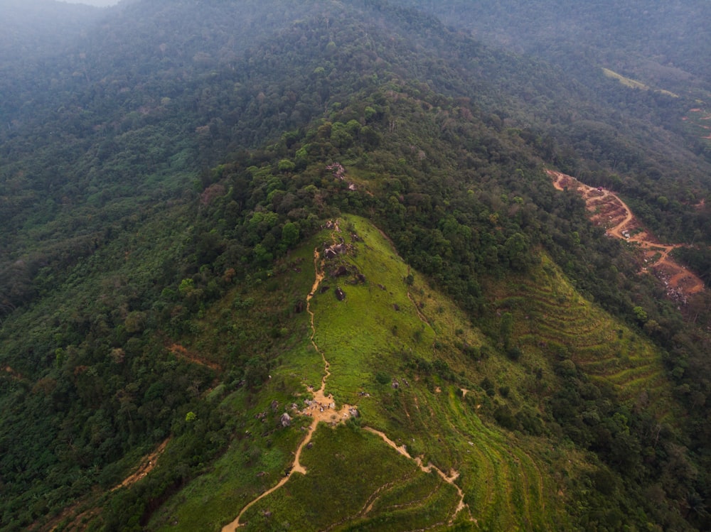 Vue aérienne des montagnes verdoyantes pendant la journée