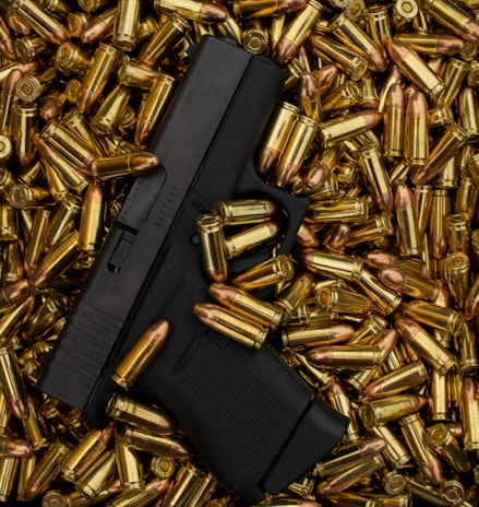Handgun and ammo.  Gun not in concealed carry holster.