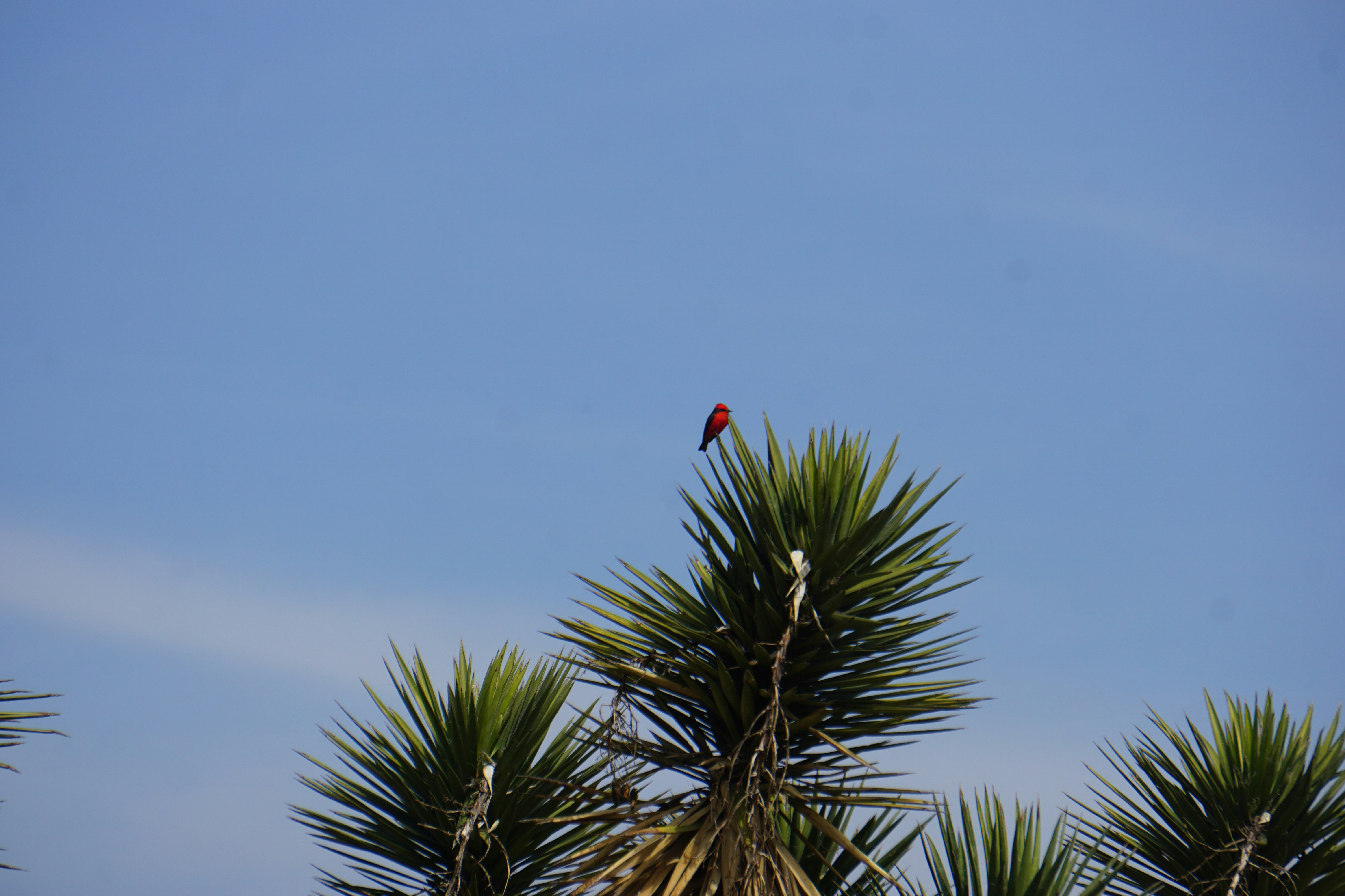 Photo by patriciodavalos