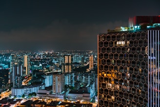 city with high rise buildings during night time
