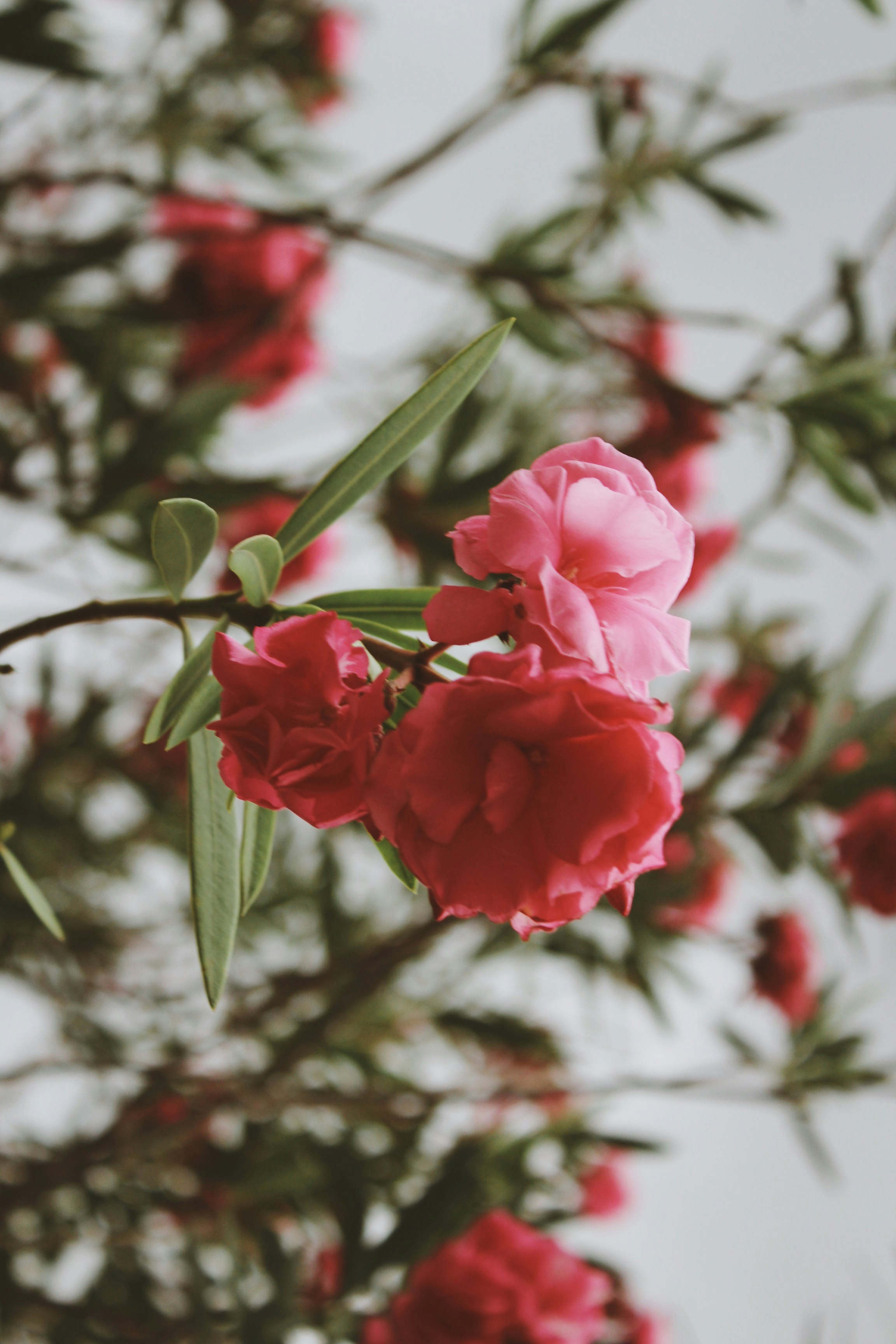 Photo by nathanareboucas