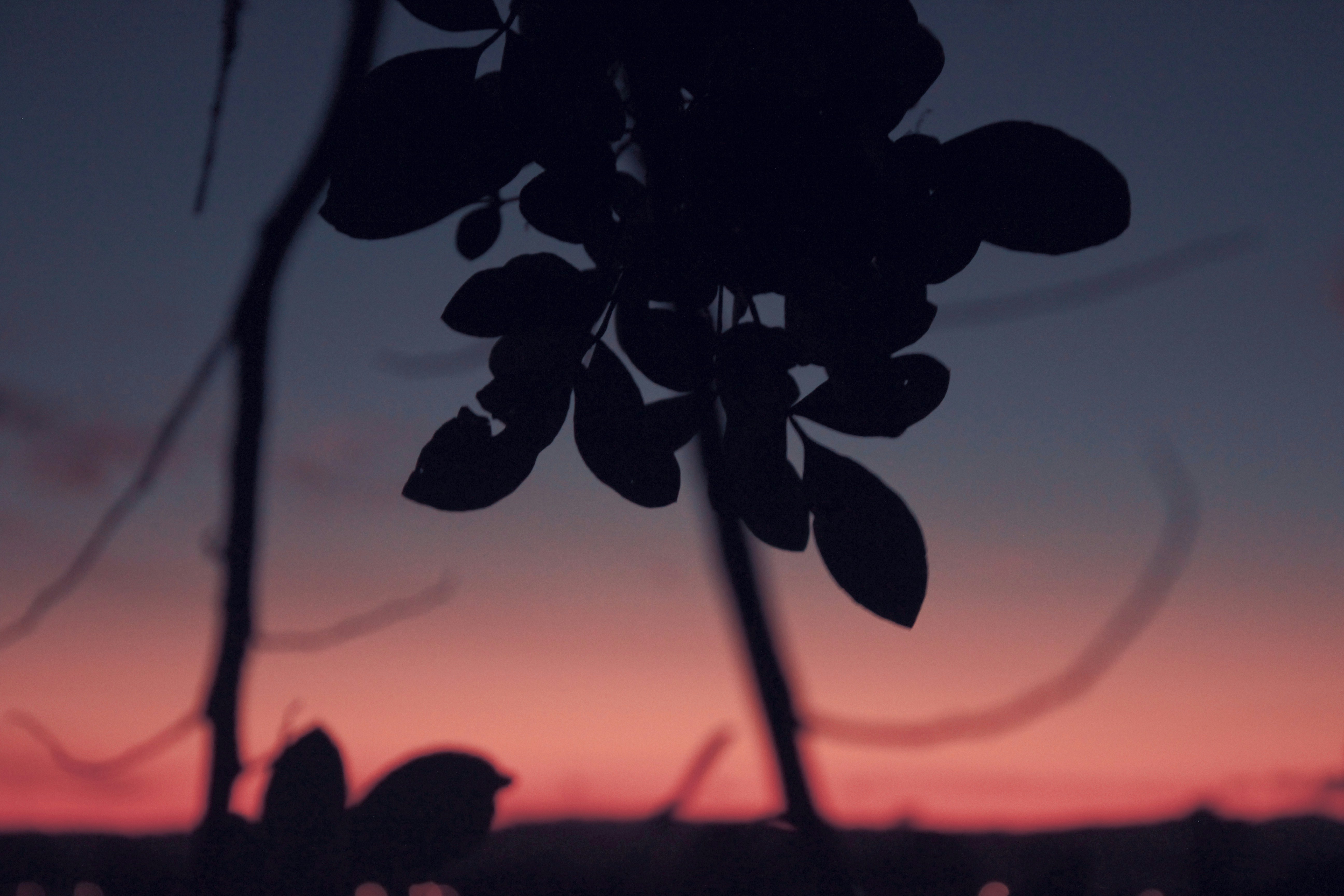 Photo by nathanareboucas
