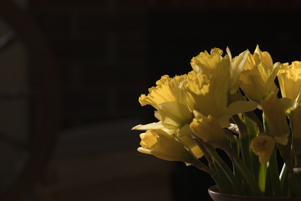 yellow flower in brown ceramic vase