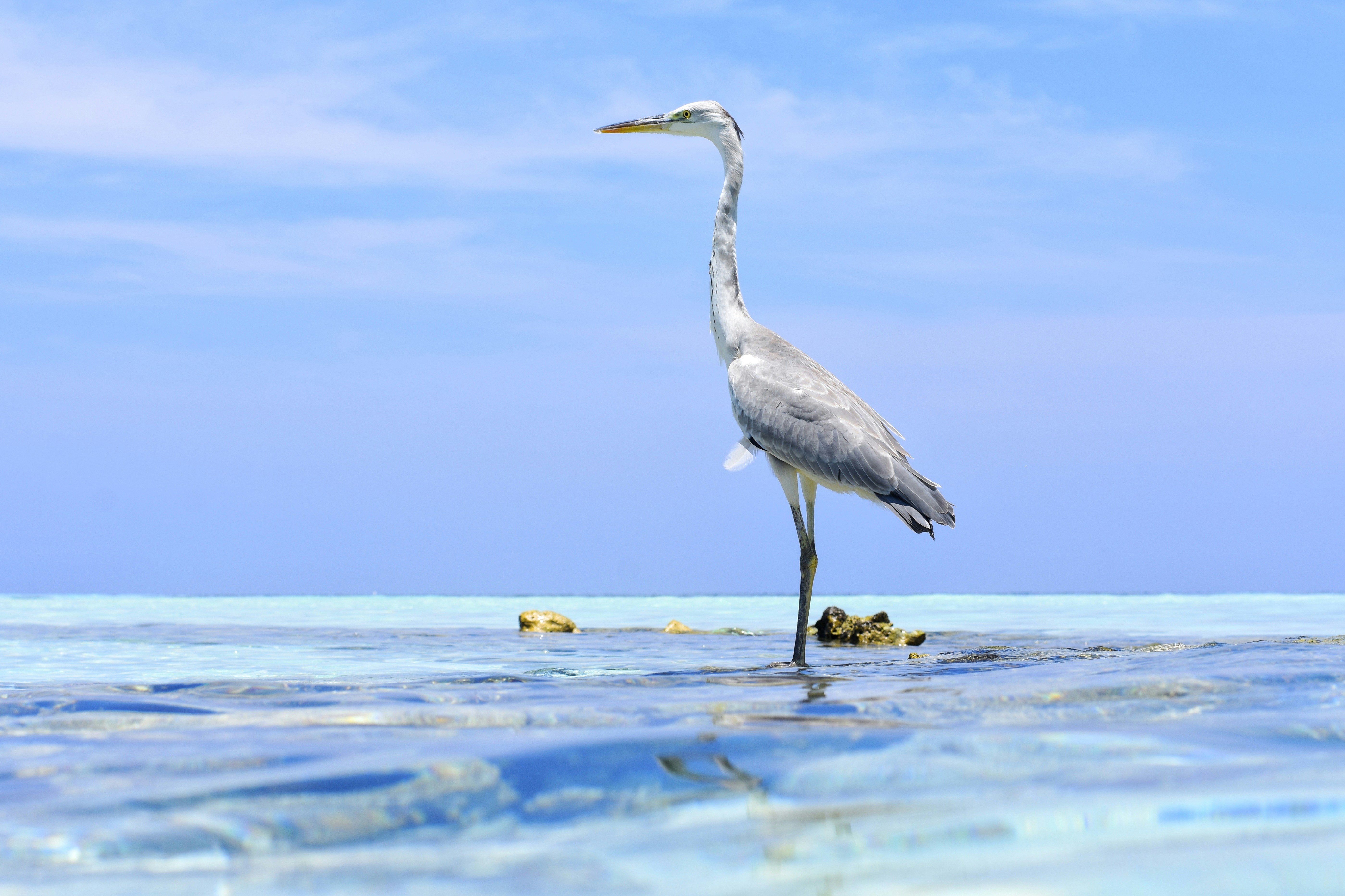 Photo by ziyaadhphotos