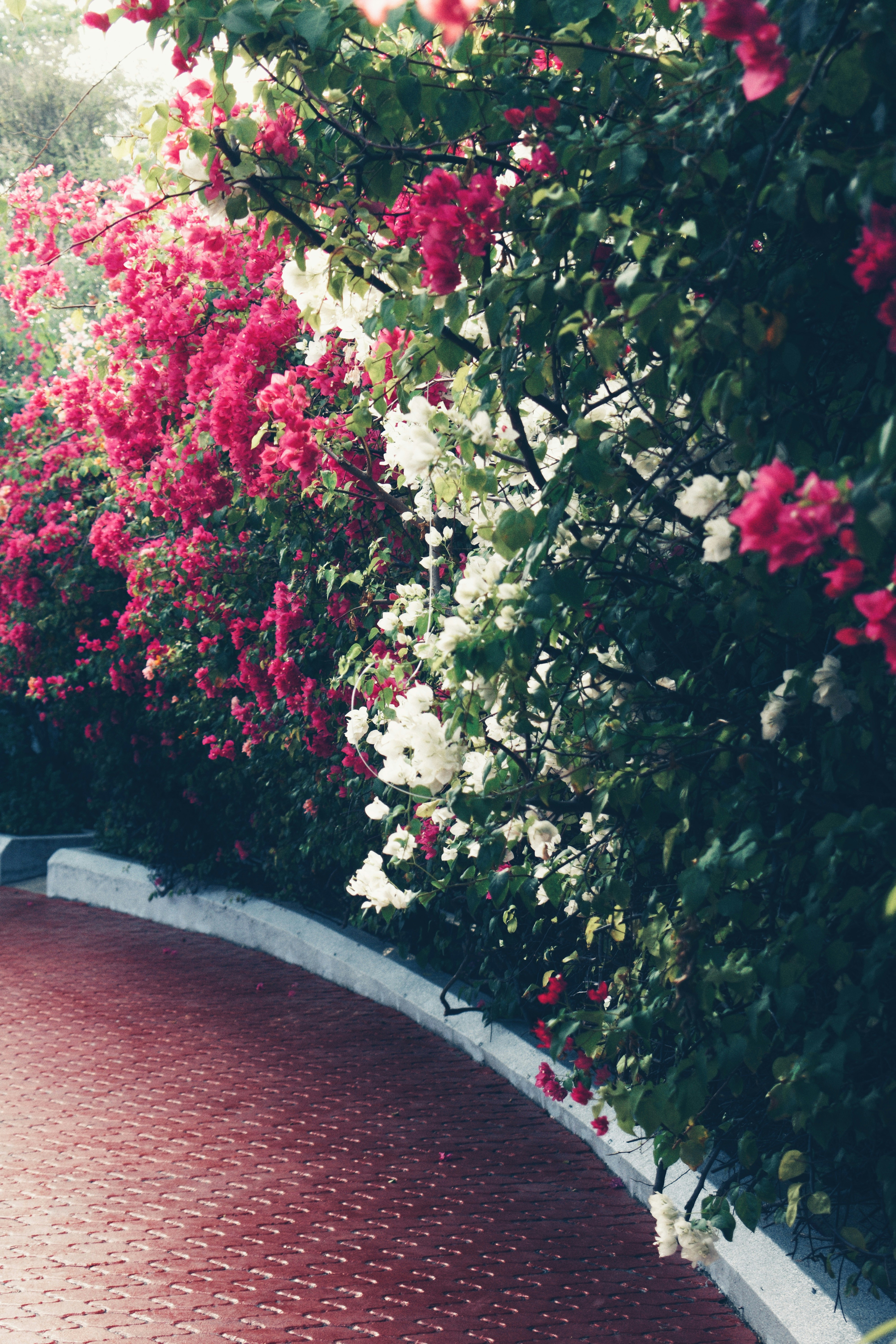 Photo by ziyaadhphotos