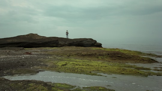person standing on brown rock formation near body of water during daytime in Chiba Japan