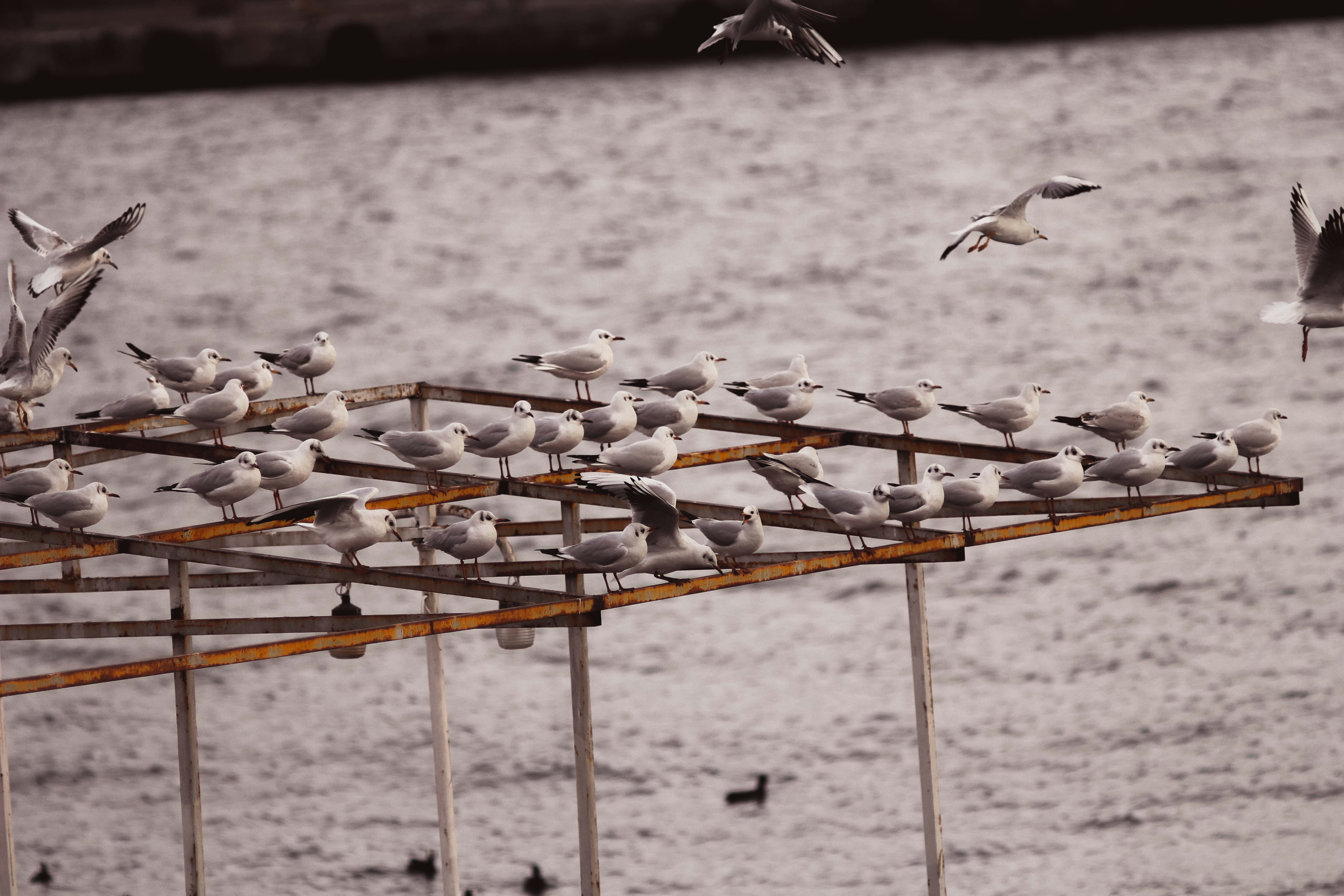 Photo by fogrei