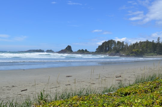 Cox Bay Beach Resort things to do in Tofino