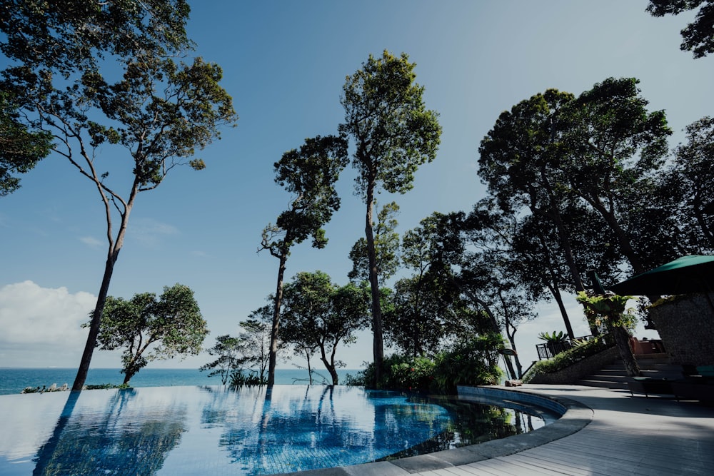 árvores verdes perto da piscina durante o dia