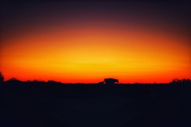 Silhouette of a rhinoceros against a vibrant, colorful sunset with hues of orange, red, and purple. The rhino is walking on a grassy landscape, with trees barely visible in the distance. The sky is gradually transitioning from a deep orange near the horizon to a dark purple as it moves upward.