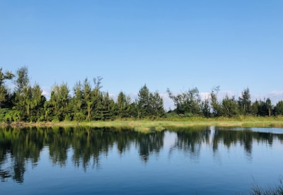 A serene landscape with a calm lake reflecting trees under a clear sky.