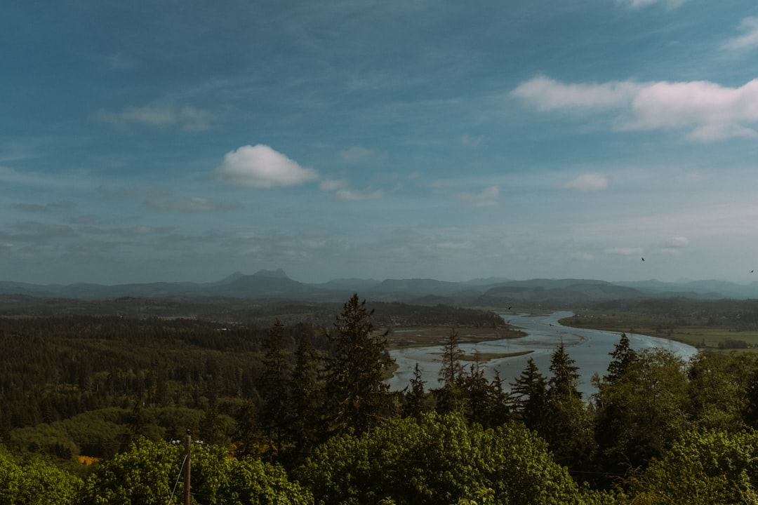 green trees and mountains under white clouds and blue sky during daytime