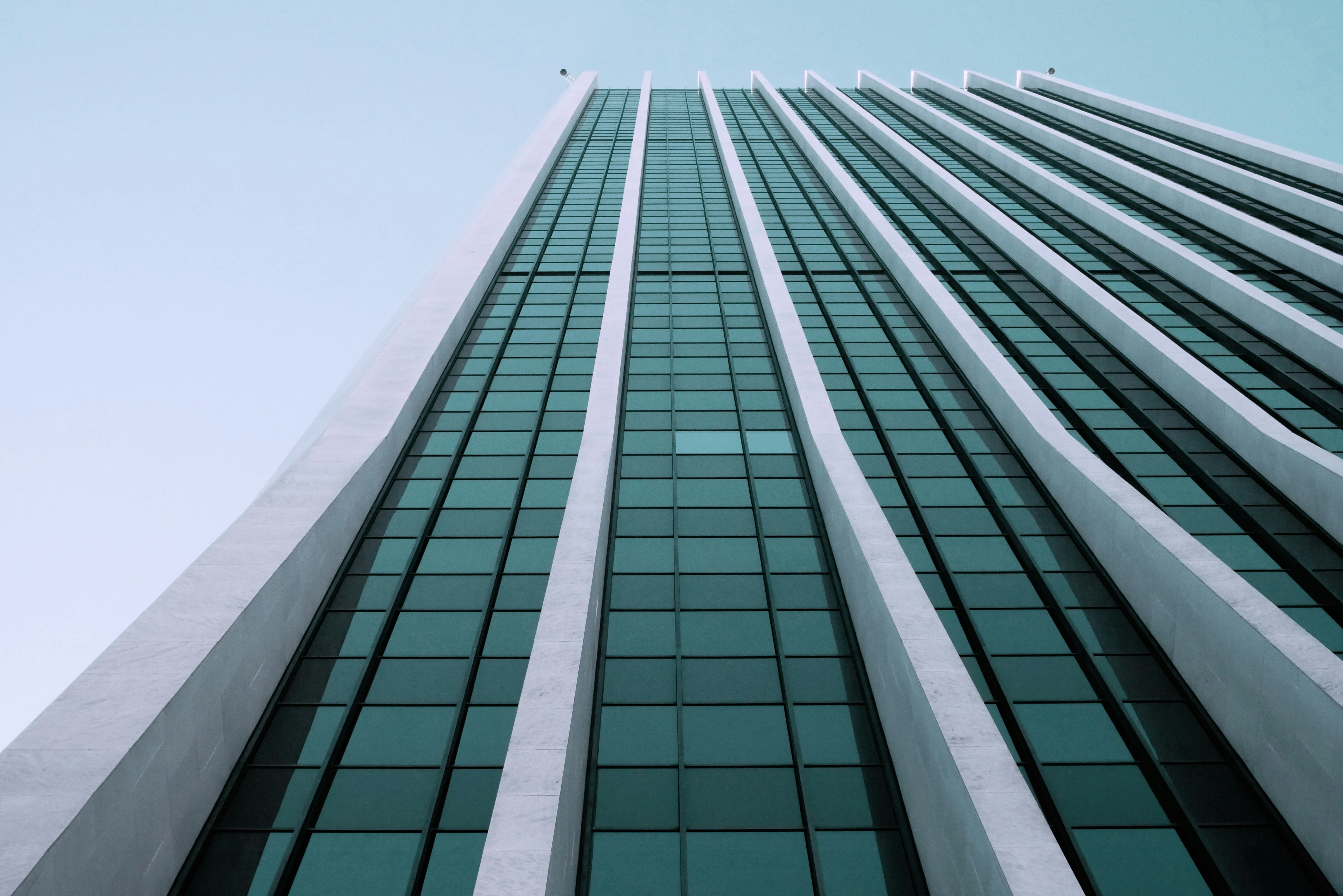 Photo by chamomileboi