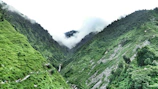 A vibrant mountain trail winding through lush greenery near Palampur.