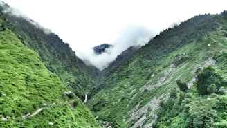 A winding path through a misty valley surrounded by lush, green slopes.