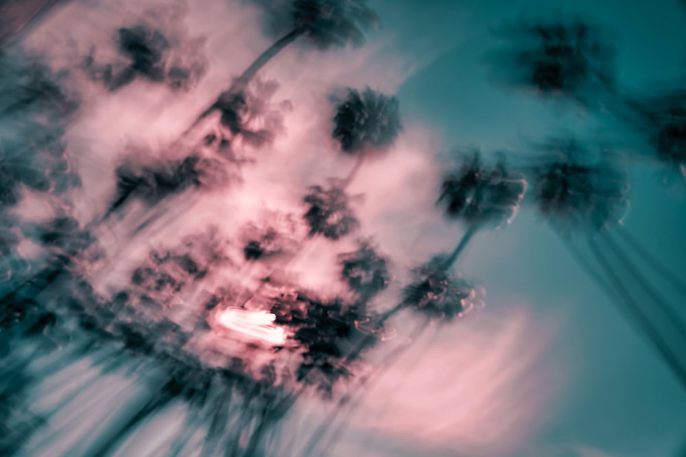 purple and white clouds over trees