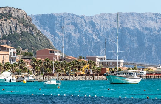 white and blue boat on blue sea near brown and white concrete building during daytime in Golfo Aranci Italy