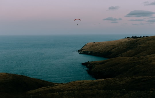 person in parachute over the sea during daytime in Godley Head New Zealand
