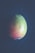 A single mango with a smooth texture and a mix of green, yellow, and orange-red hues rests against a dark, textured background. The lighting creates a soft, natural look with subtle shadows.