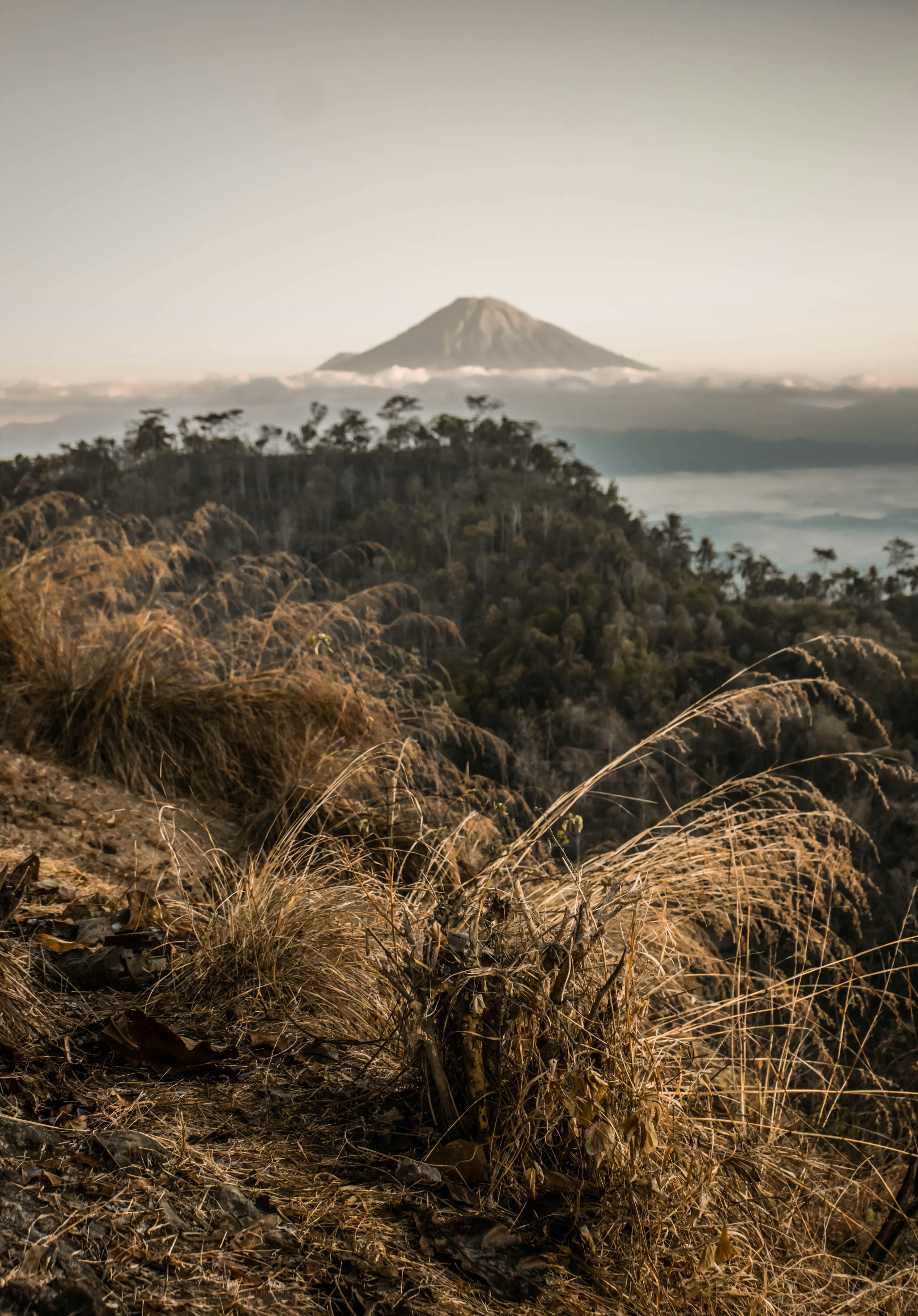 Photo by robbyansyahdewan