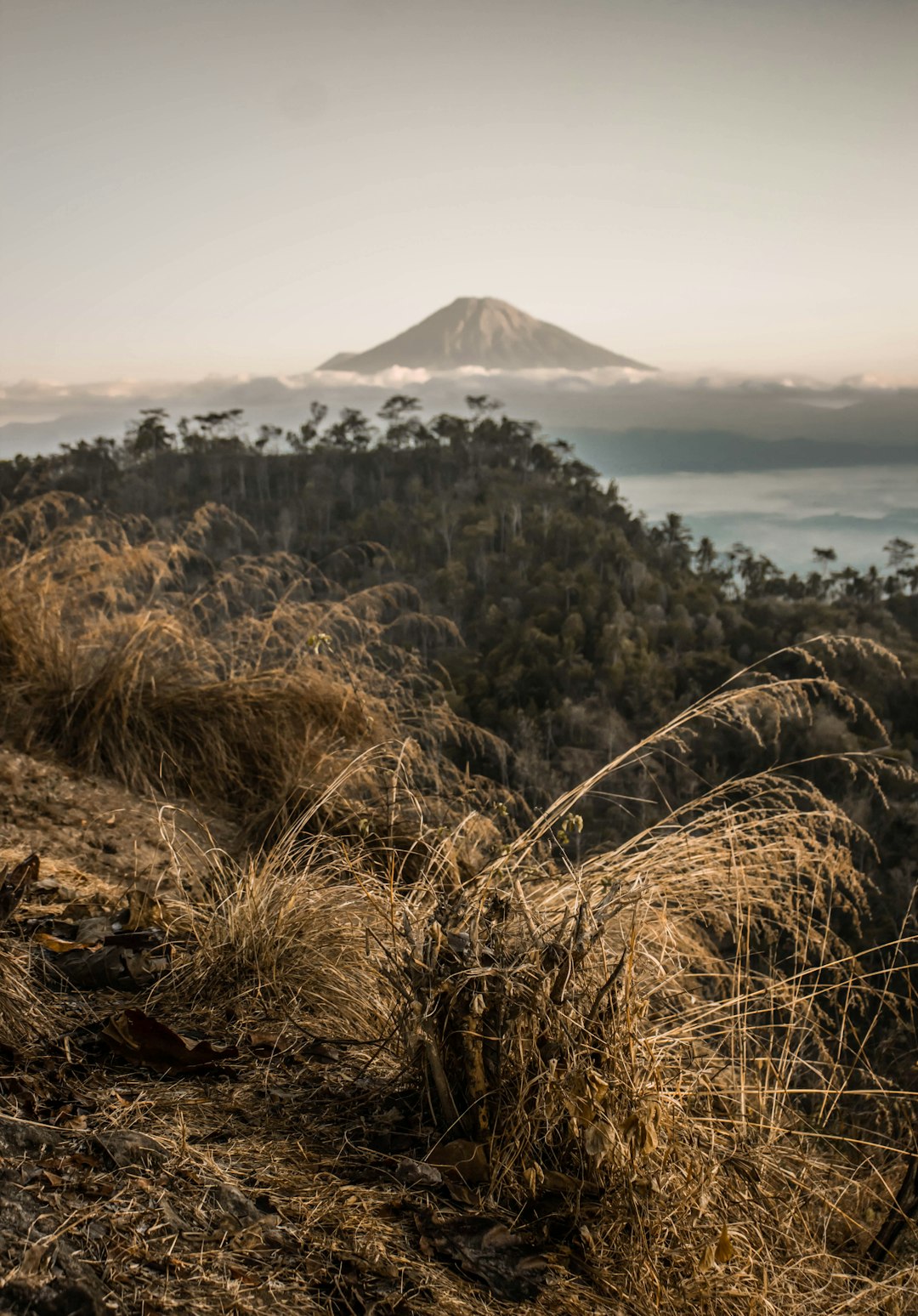 Hill photo spot Gunung Gondopurowangi Wonosobo