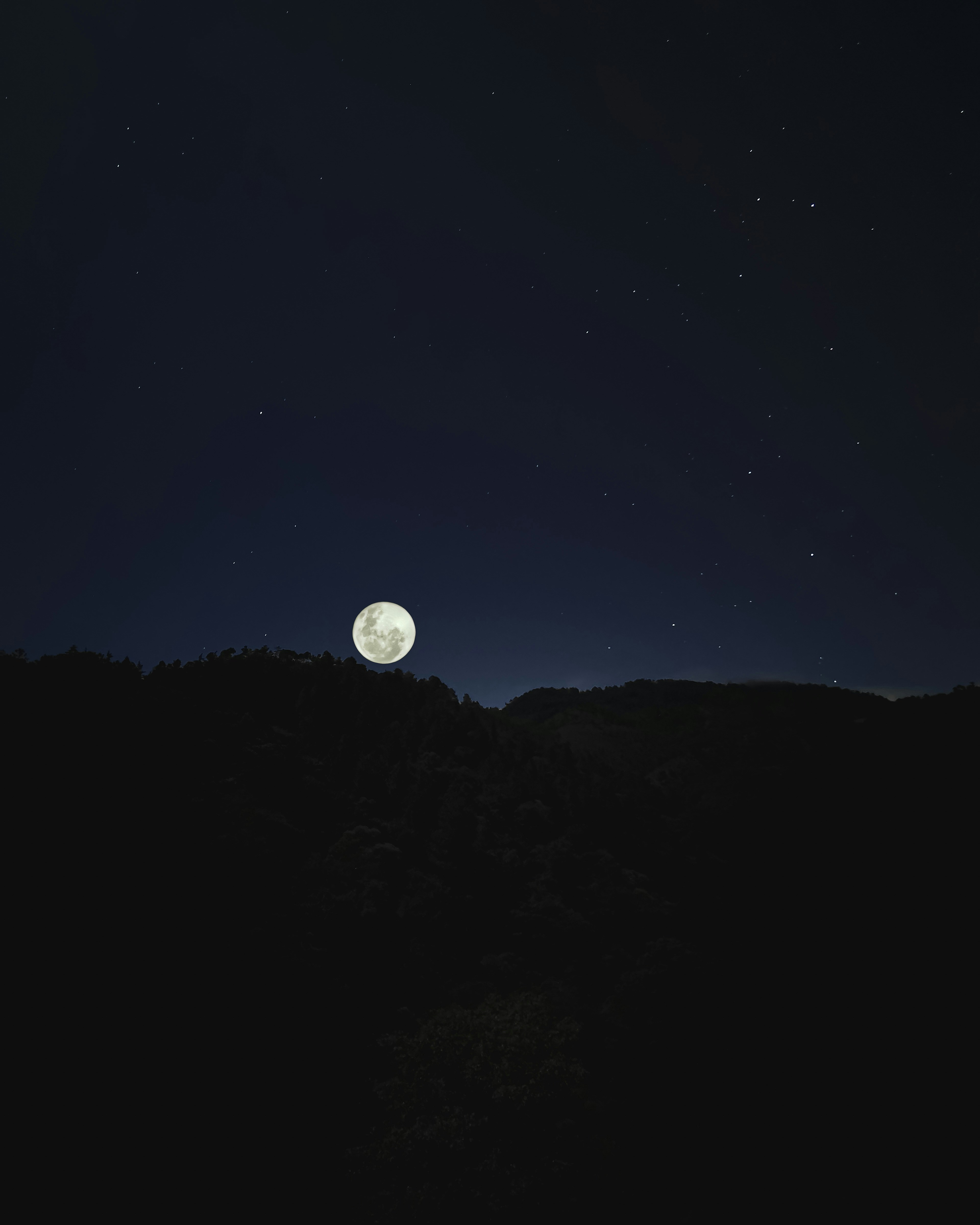 Photo by claudisdardon95_