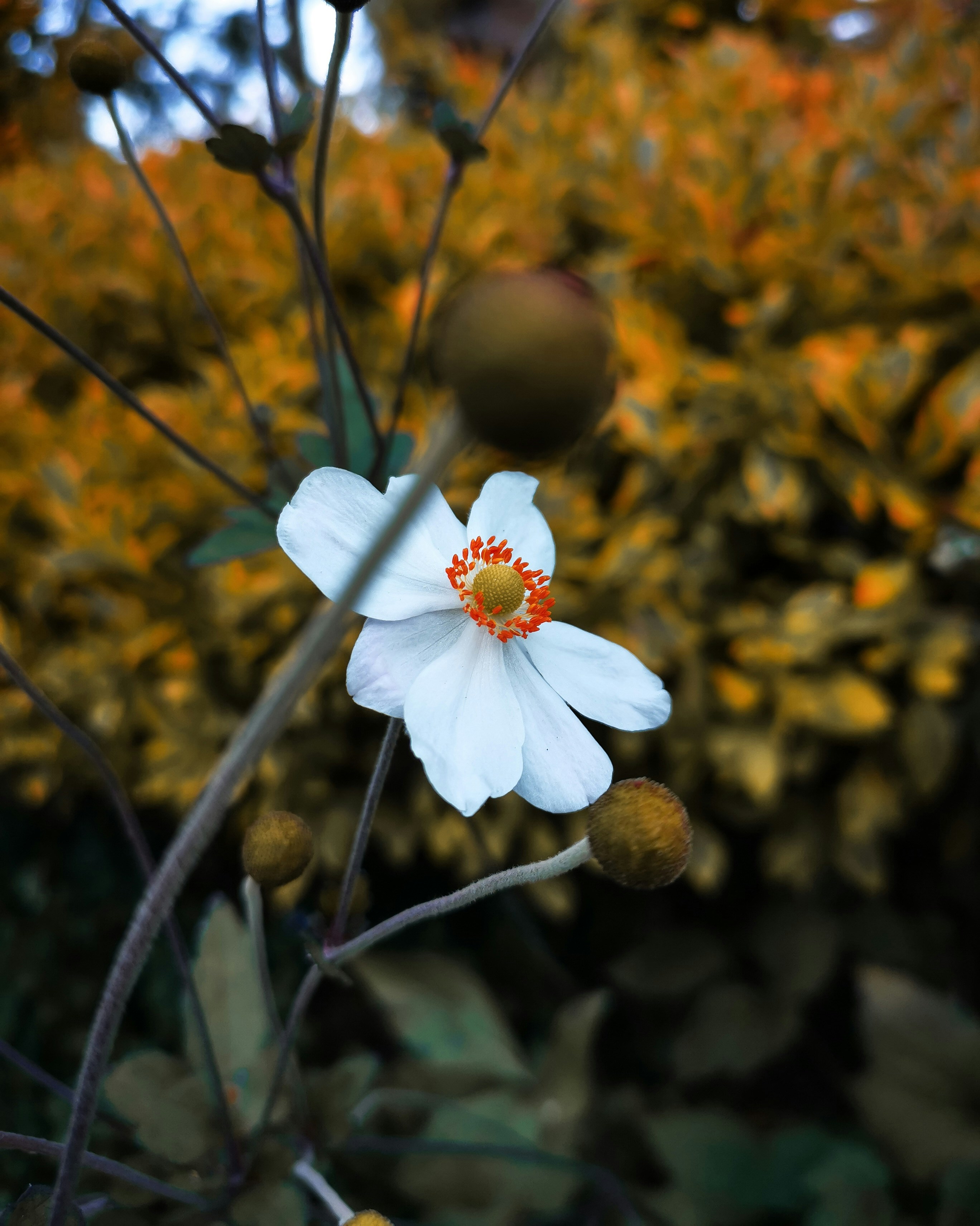 Photo by claudisdardon95_