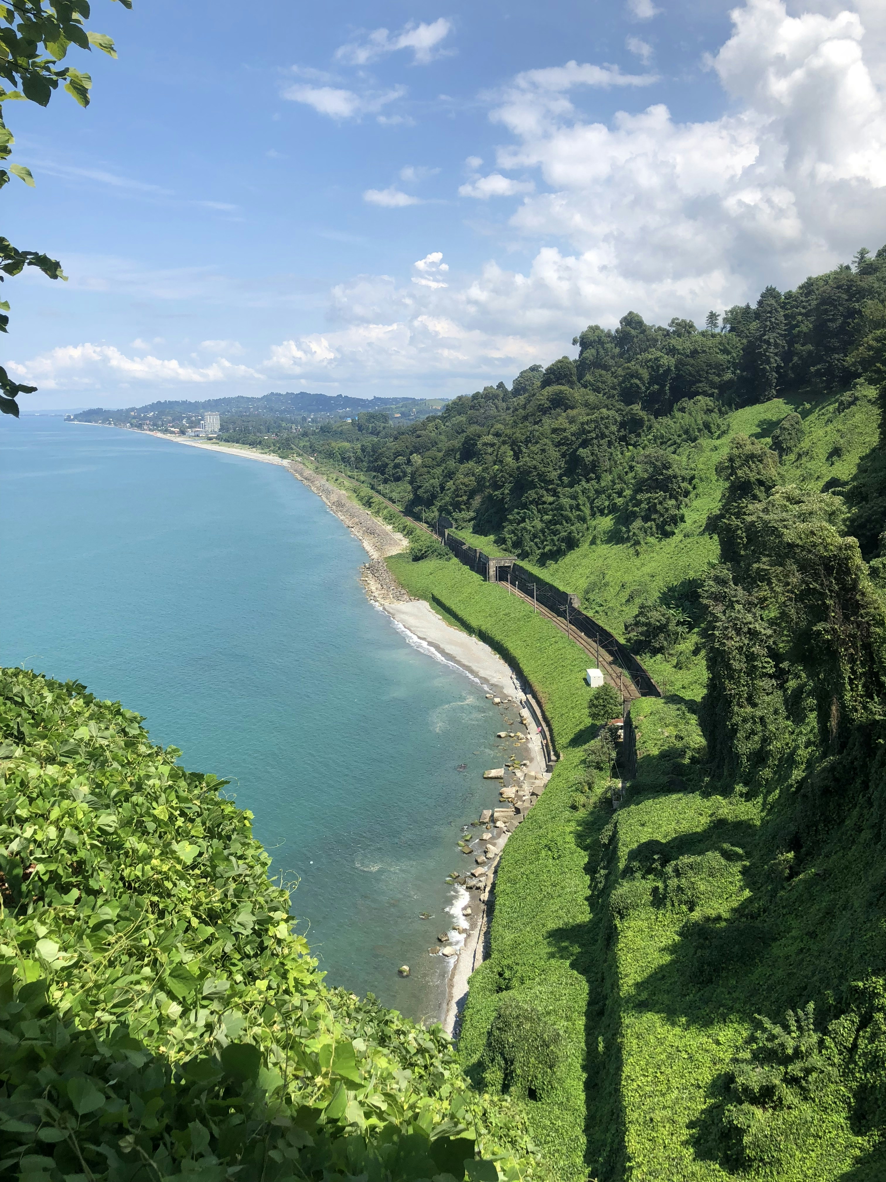Seafood in Batumi: Where to Find Fresh Black Sea Fish