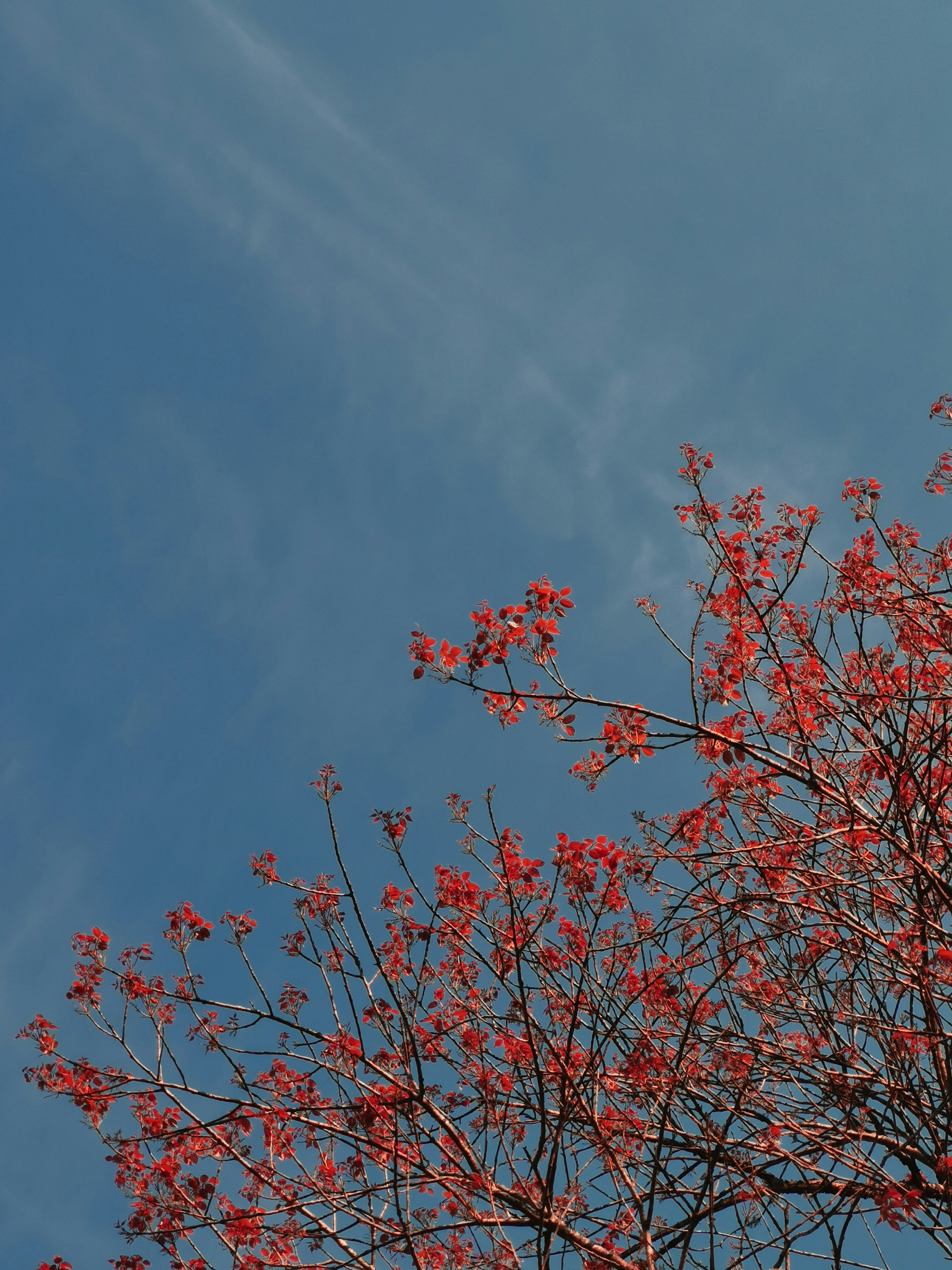 Photo by claudisdardon95_