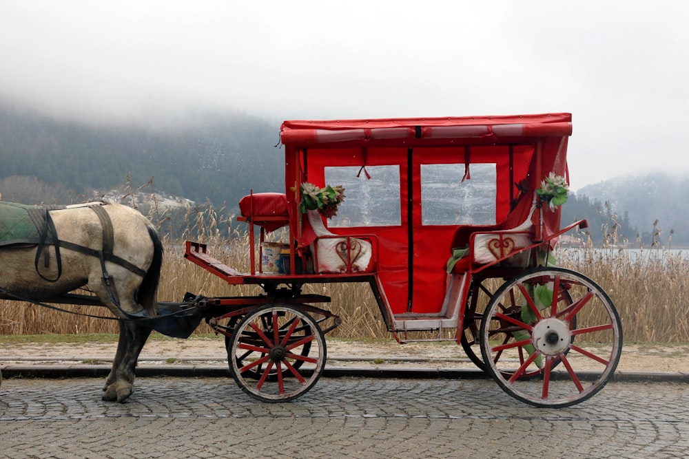 cavalo vermelho e branco com carruagem na estrada durante o dia