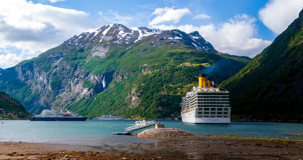 white cruise ship on sea near green mountain during daytime