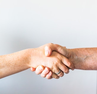 person holding hands of another person