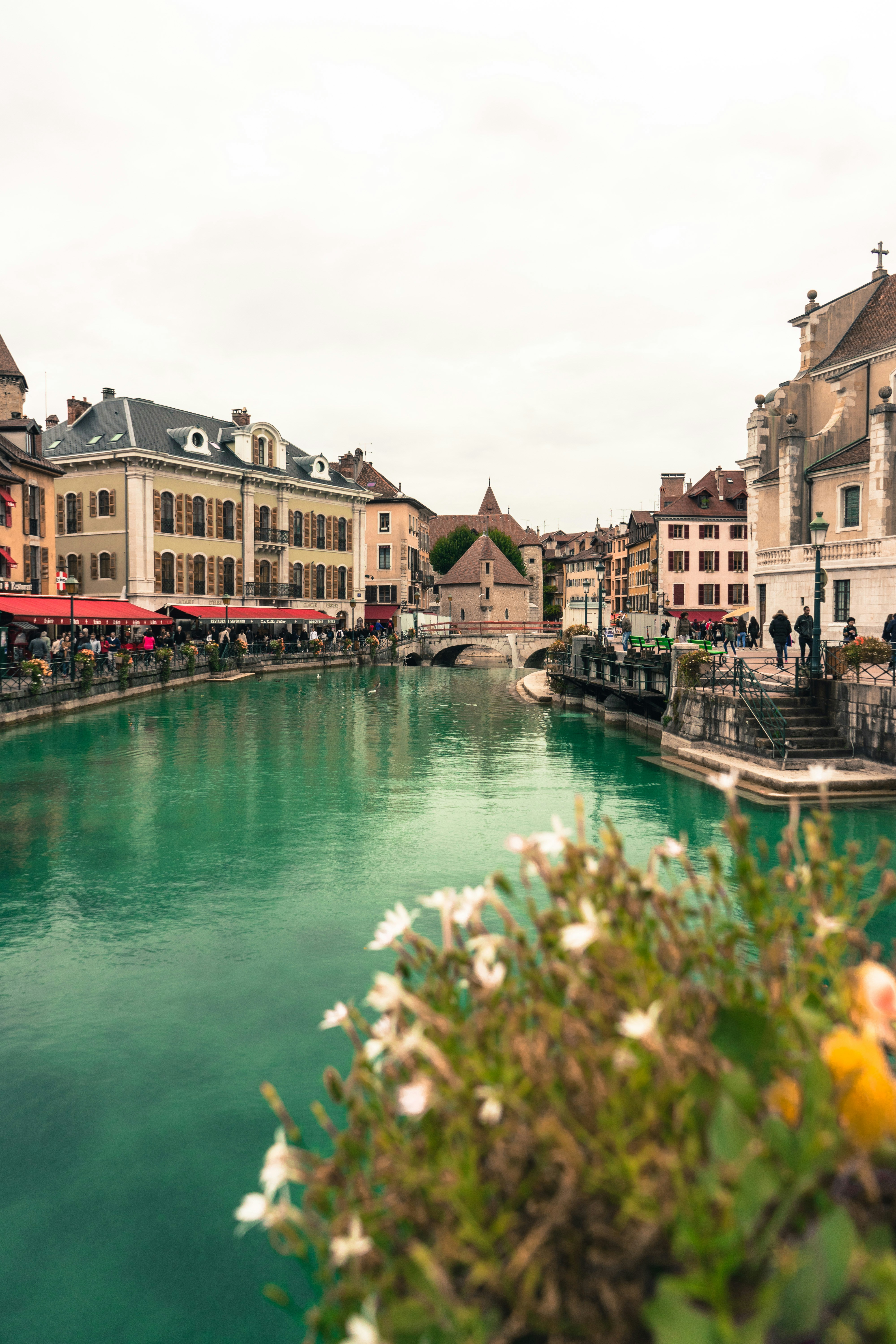 Photo by virussinside