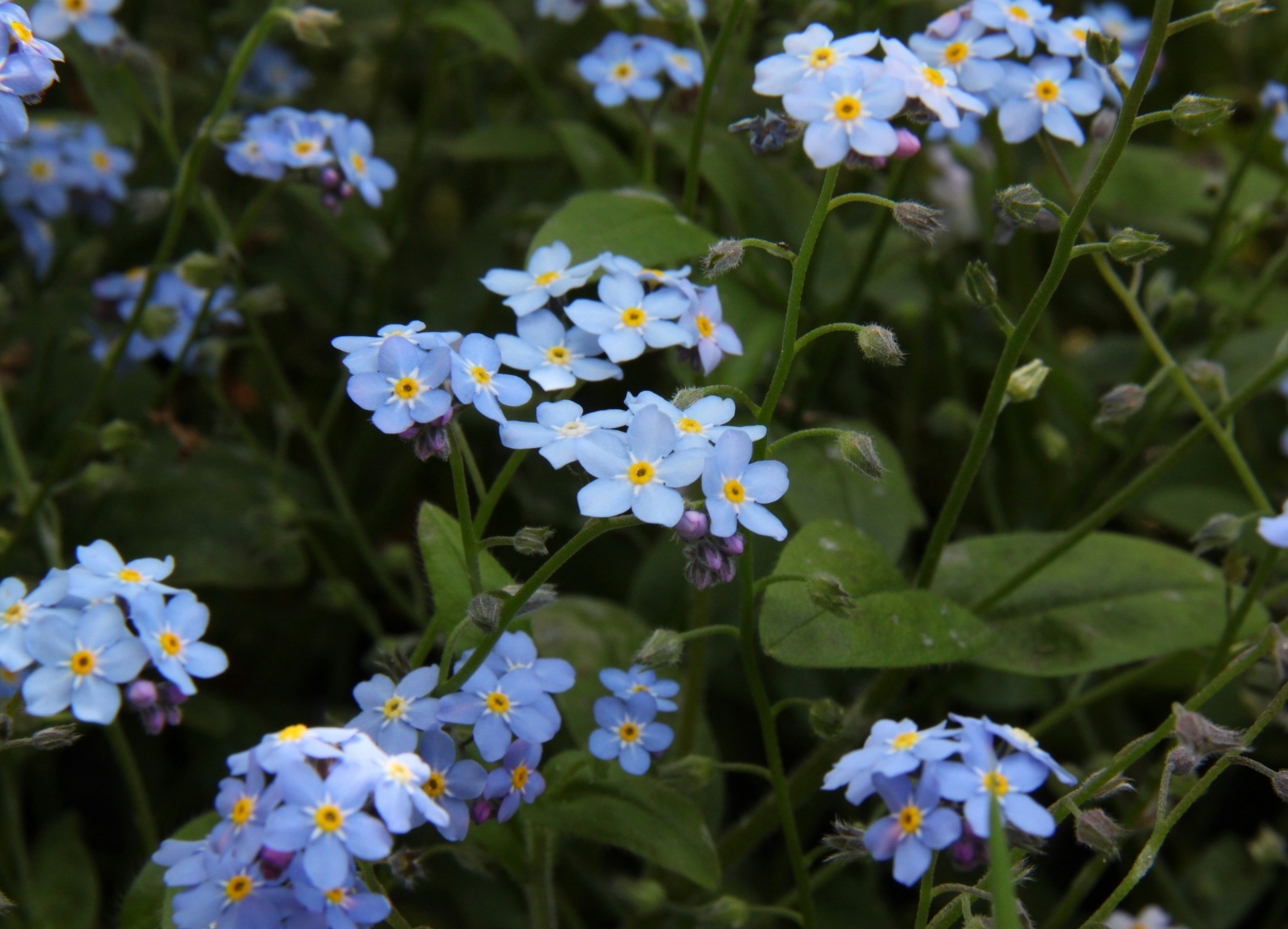 Photo by sophiachristensen