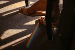 A freshly cleaned carpet drying in sunlight streaming through a large window.