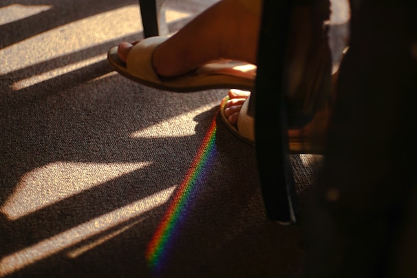 A bright, freshly cleaned carpet drying in natural sunlight by a window.
