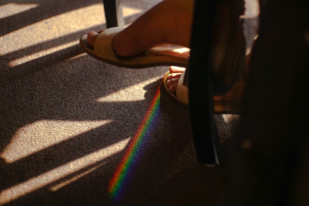Close-up of a freshly cleaned, vibrant carpet with sunlight streaming through a nearby window.