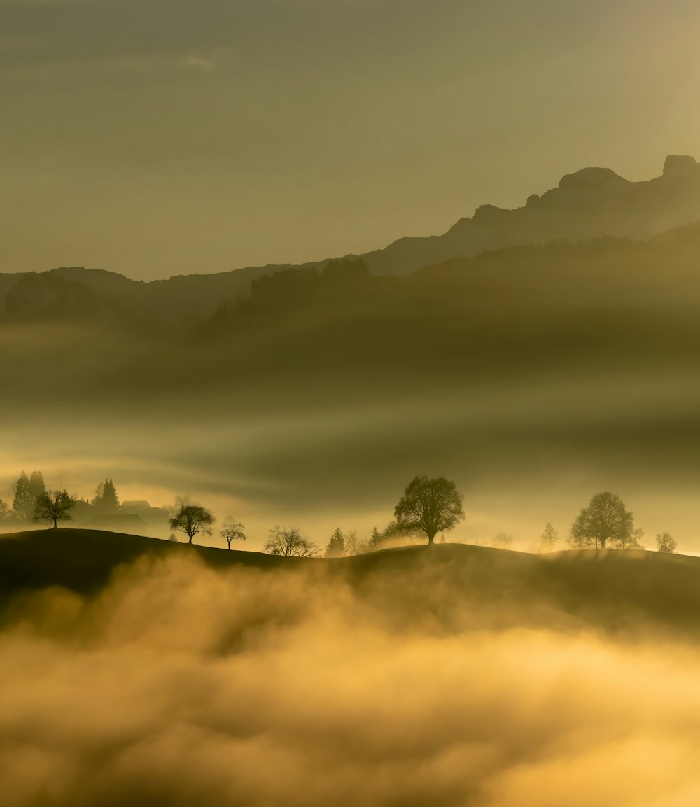 árvores verdes na montanha durante o dia