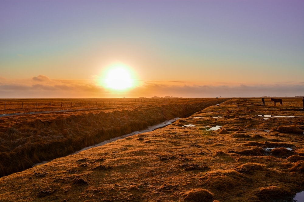 brown sand near body of water during sunset