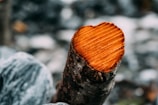 brown wood log in close up photography