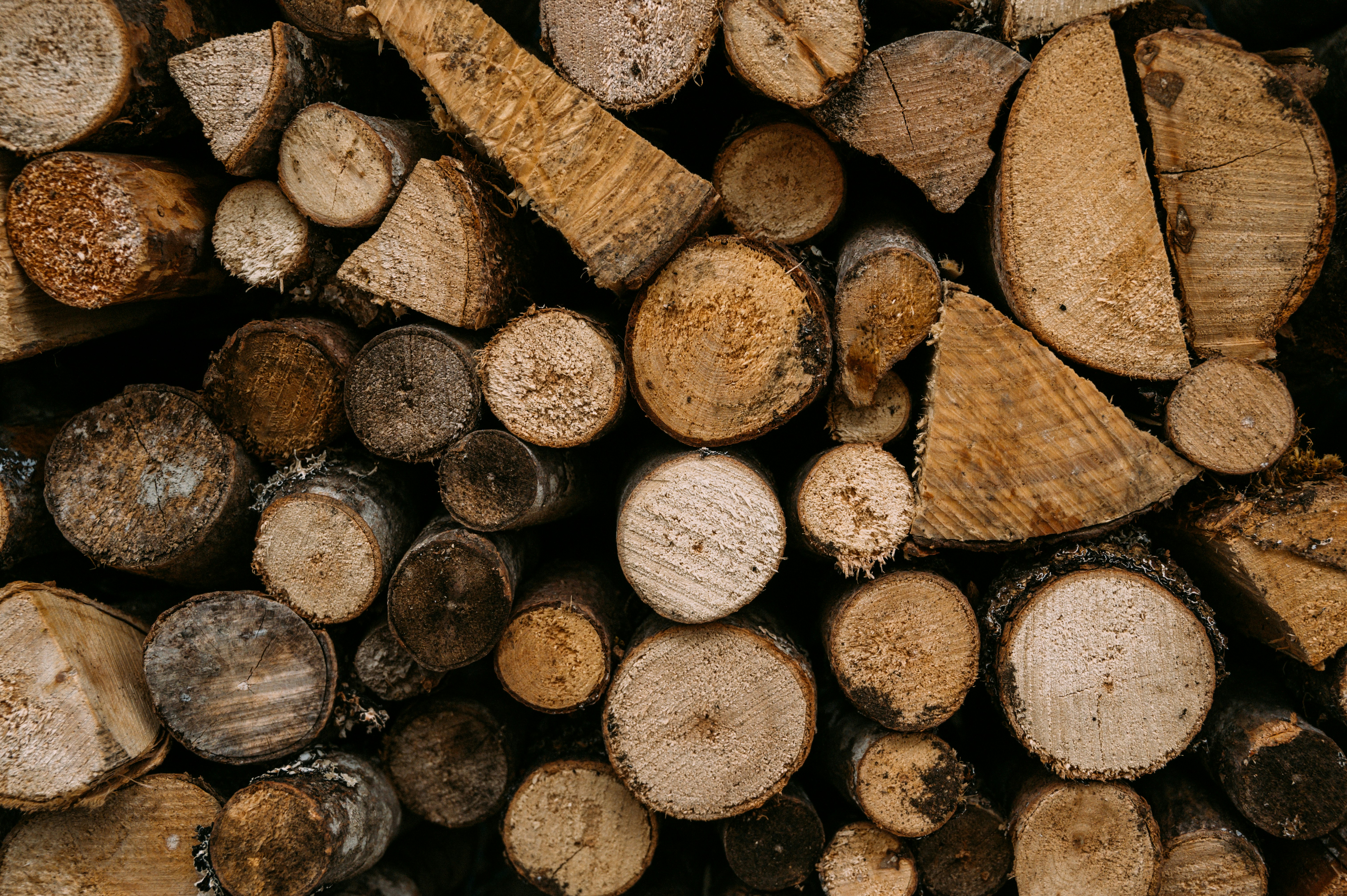 Photo by geroldhinzen