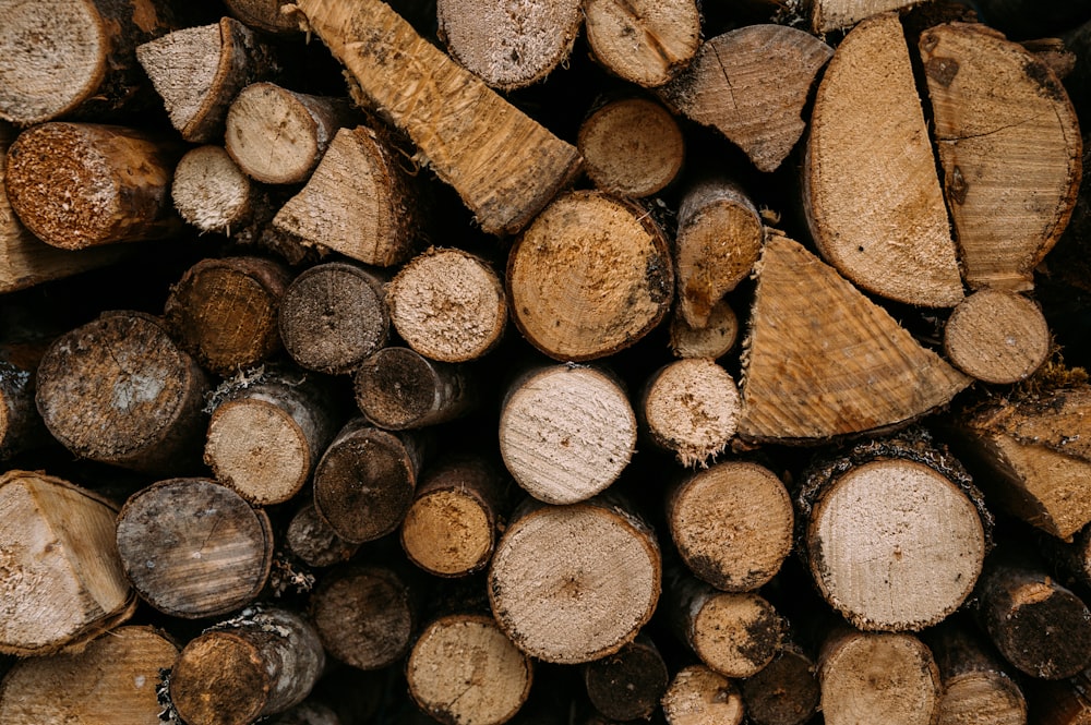 brown and black wood logs
