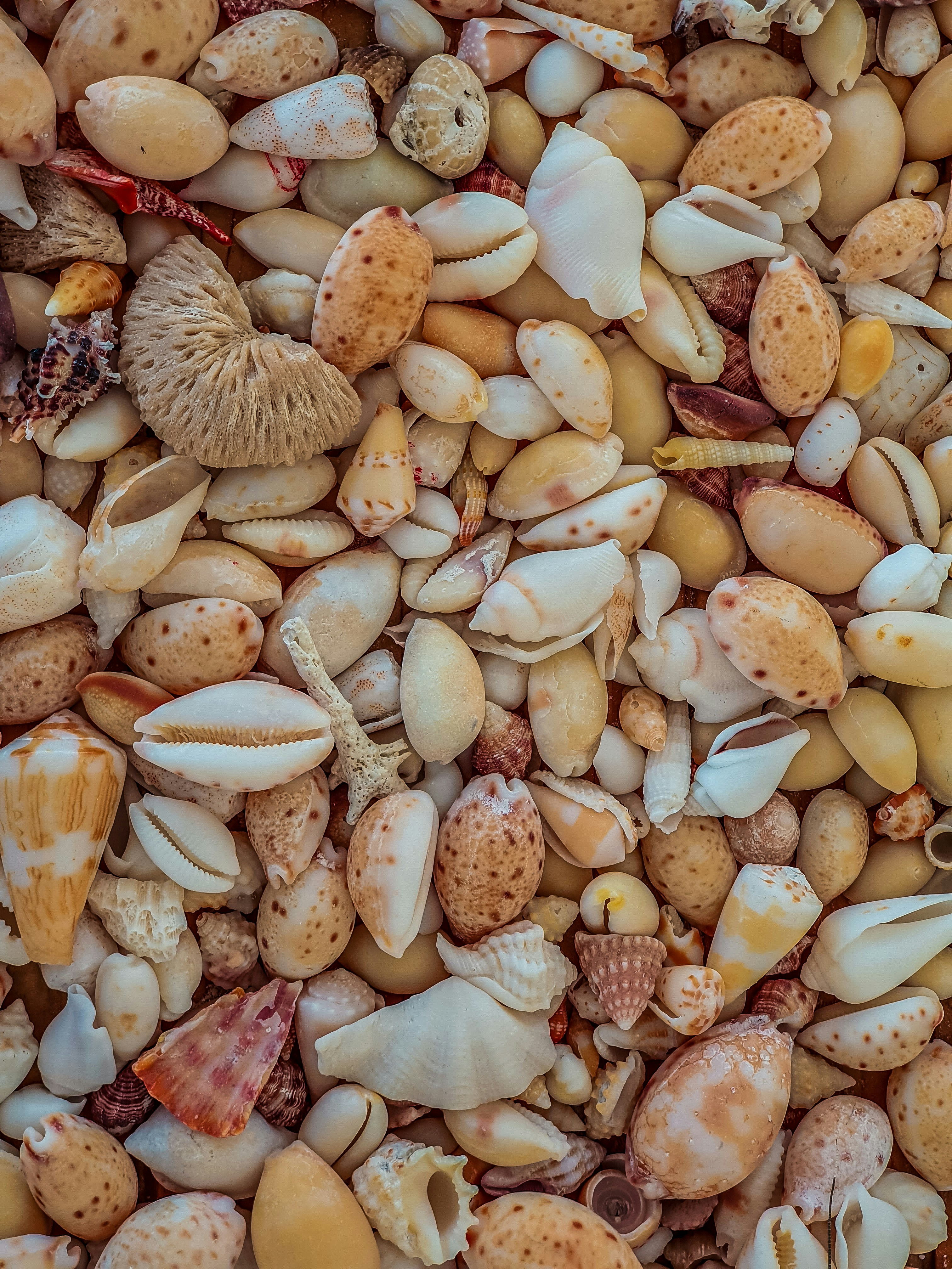 Photo by reallynattu