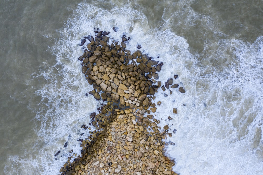 pedras marrons e pretas na água