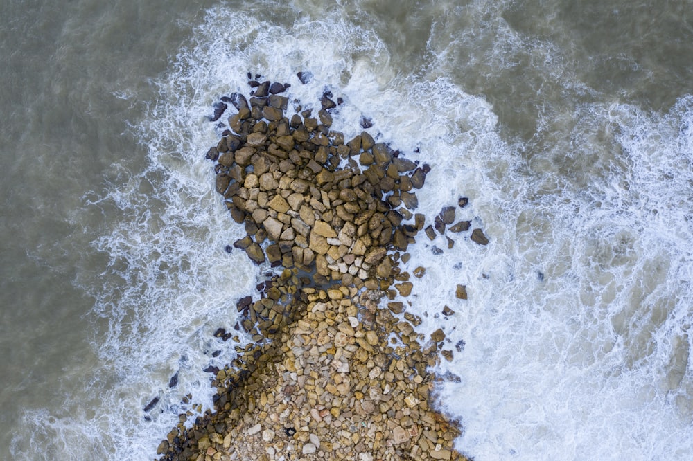 pietre marroni e nere sull'acqua