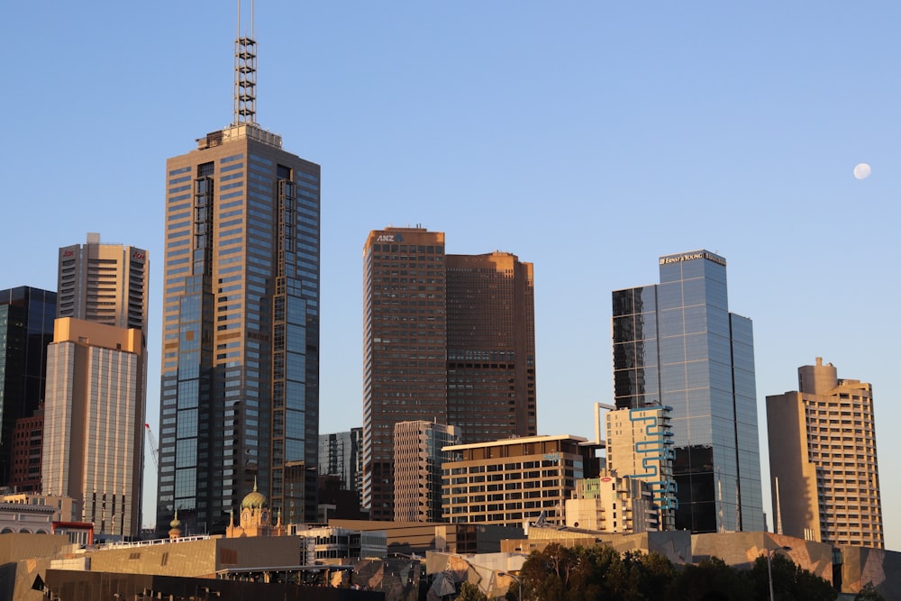 white and blue high rise buildings