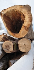 Several large, cut logs are stacked on top of each other, with one featuring a prominent hollow center. The ends of the logs show clear rings, indicating their age. The logs are partially covered in snow, suggesting a cold climate or winter setting.