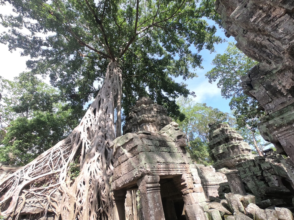 Cambodia