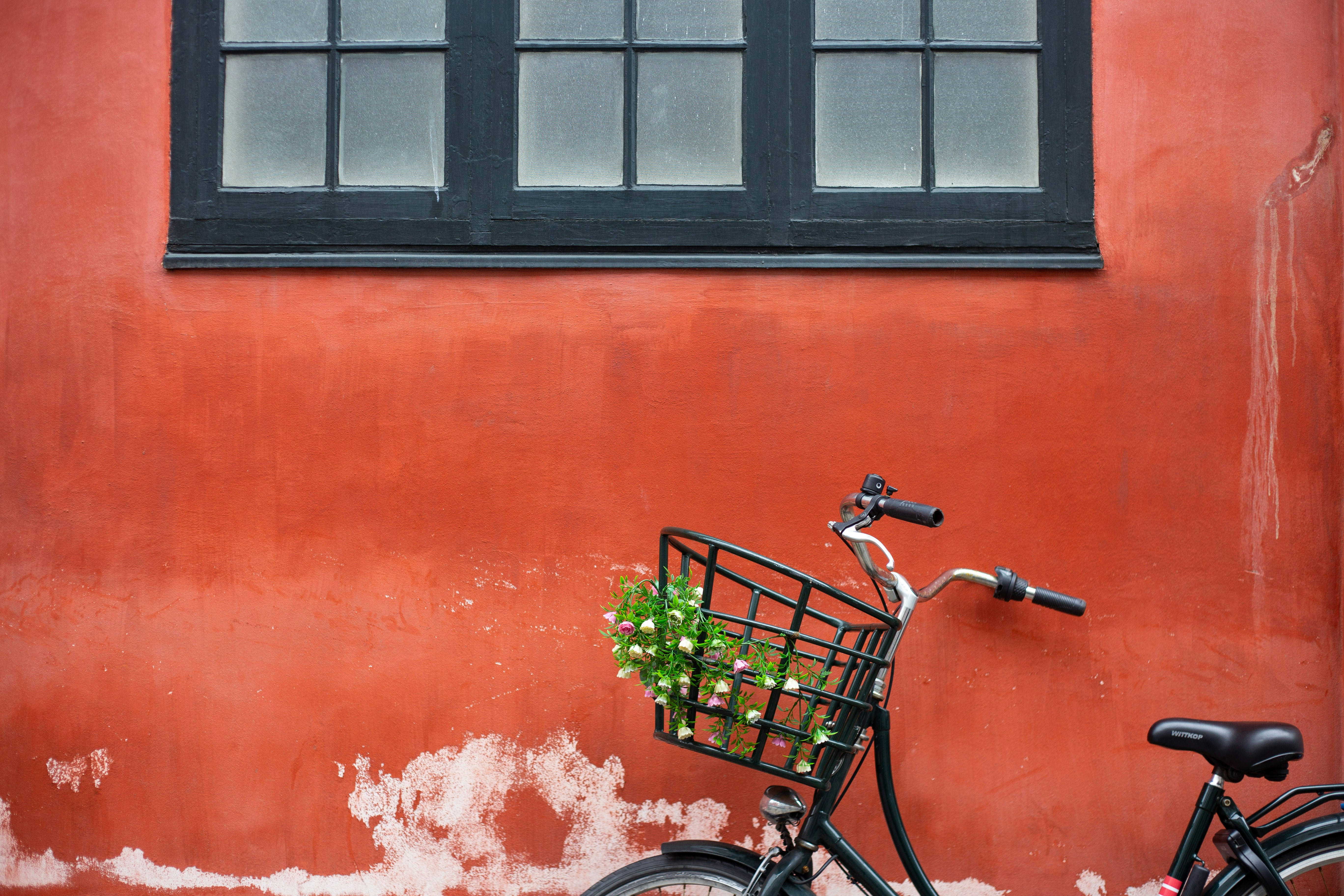 Photo by alisonstardust